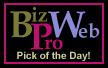 Logo Link to Bizproweb site which recognized Coyote Communications Site
