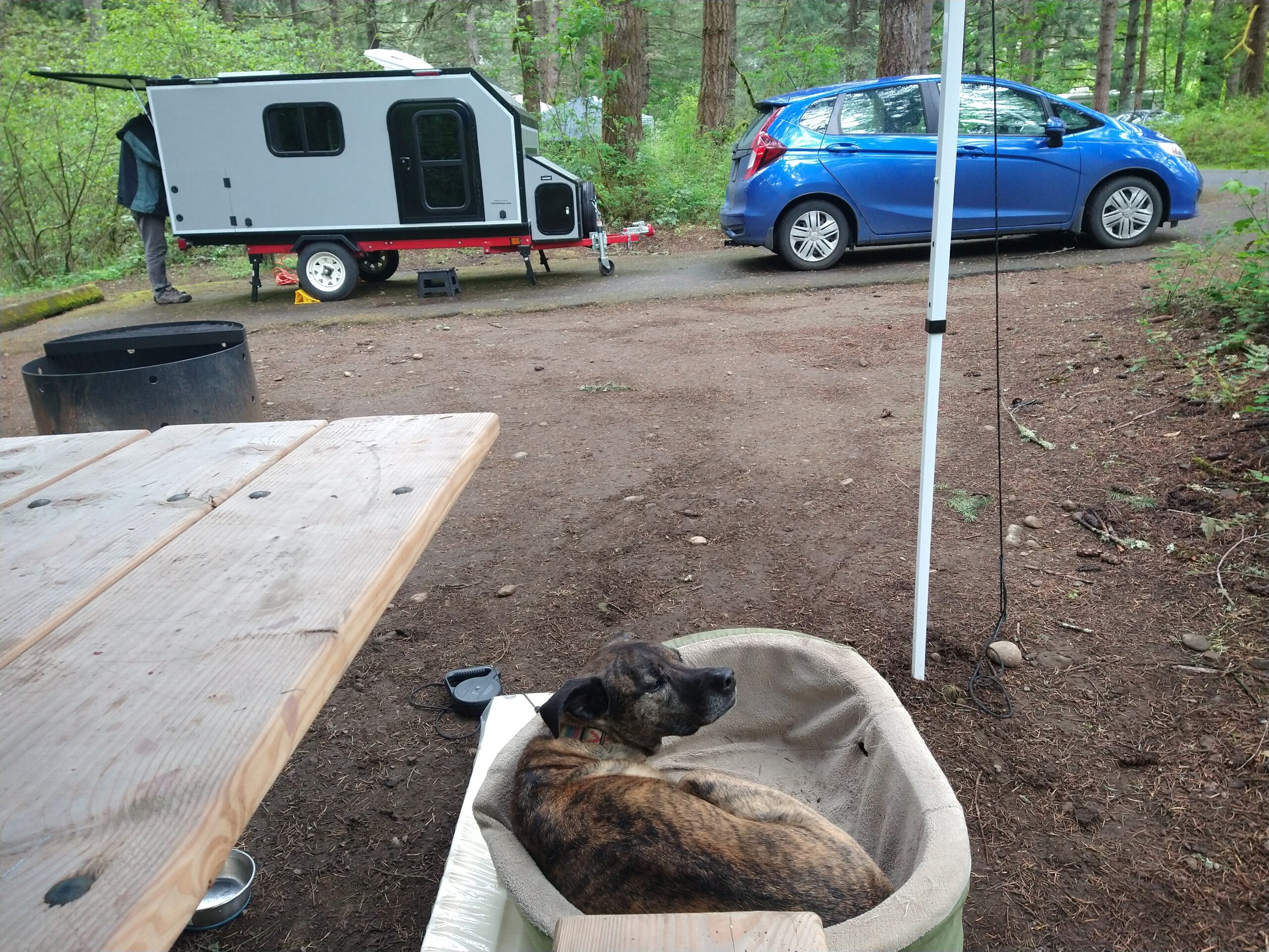 A Honda fit is in the background, in front of a square drop trailer that is not bigger than the car. Right in front of the photographer is a dog in a dog bed next to a picnic table.