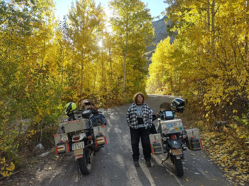 A woman stands between two motorcycles, amid trees that are bright yellow